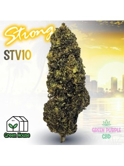 Fleur Gorilla Glue STV10