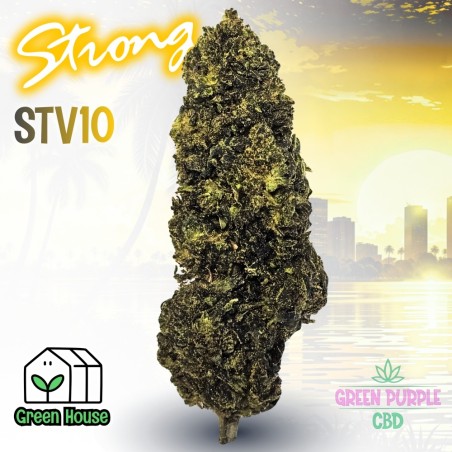 Fleur Gorilla Glue STV10