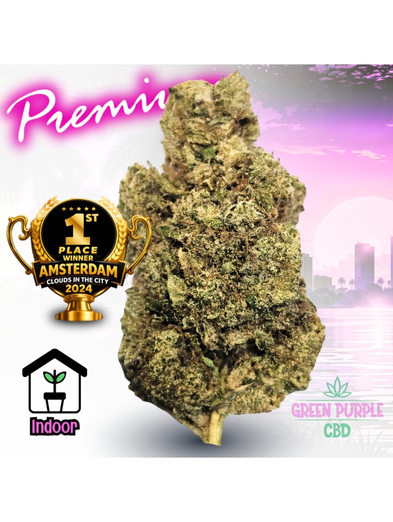 Fleur Mela Sour 🏆 1er Prix Amsterdam 2024