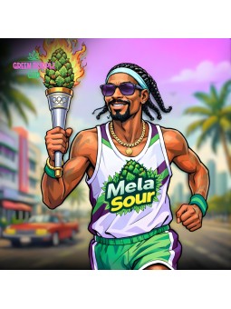 Fleur Mela Sour 🏆 1er Prix Amsterdam 2024