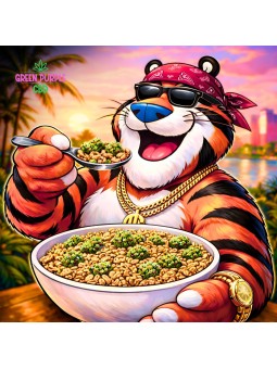 Small Bud Grinspoon EXCLU INTERNET