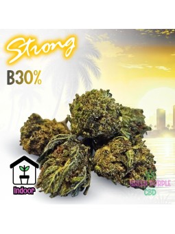 Small Bud Grinspoon B30 Strong EXCLU INTERNET