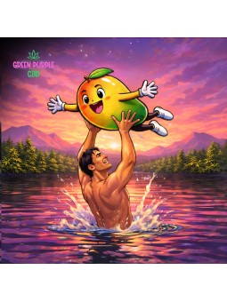 Résine Dirty Mango