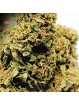 PROMOTION Fleur Florida Og CBD