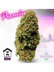PROMOTION Fleur Florida Og CBD