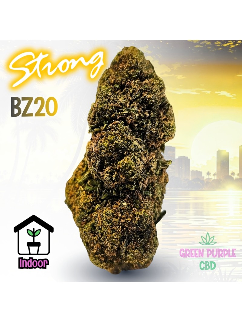 Fleur Blueberry BZ20