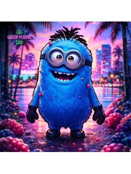 2 GUMMIES STRONG KUSH BAIES PETITE MIGNONNE