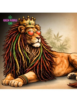 PRE-ROLL ZION NICOTINE X20 CIGARETTES CBD