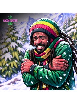 PRE-ROLL GREEN & CO MENTHOL X20 CIGARETTES CBD