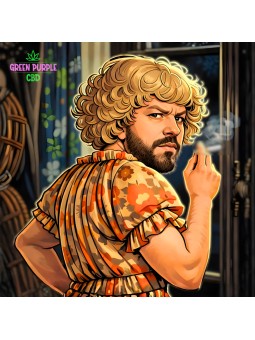 Substitut de Tabac 25G Green Purple 🚭