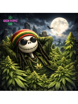 Fleur Jack Haze
