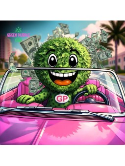 PROMOTION Fleur Florida Og CBD