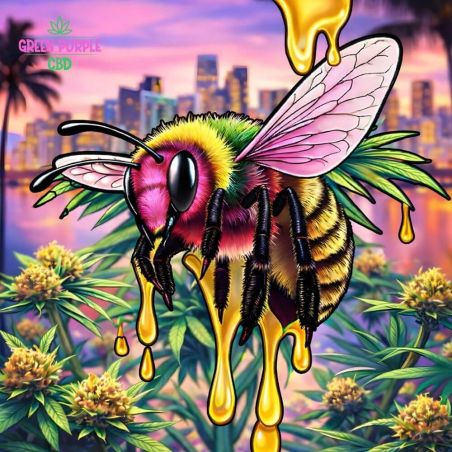 RESINE PREMIUM HONEY GAZ CBD