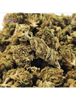 Small Bud Strawberry Amnesia