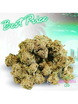 Small bud Bubble-Gum