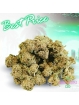 Small bud Bubble-Gum