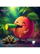 PROMOTION SIROP GEORGIA P. CBD SYRUP SWEET LIFE