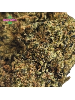 PROMOTION Fleur Berry Haze 🎤