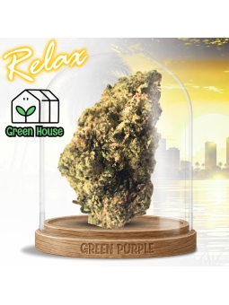 PROMOTION Fleur Berry Haze 🎤