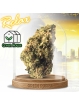 PROMOTION Fleur Berry Haze 🎤