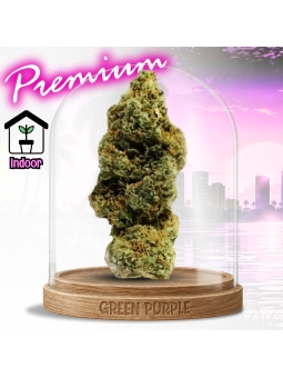 Fleur AK47 CBD