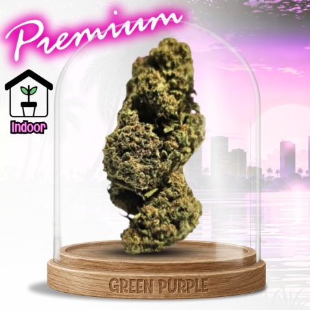 Fleur Gushers CBD