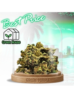 Small Bud HQCT