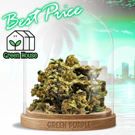 Small Bud HQCT