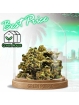Small Bud HQCT