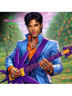 Fleur Mango Purple