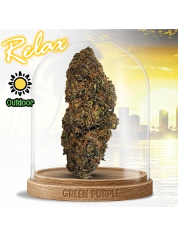 Fleur Zuyu Kush 🏋️
