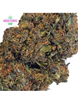 Fleur Zuyu Kush 🏋️