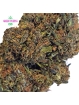 Fleur Zuyu Kush 🏋️