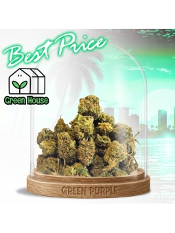 Small bud Florida OG 🐊