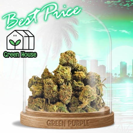 Small bud Florida OG 🐊