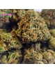 Small bud Florida OG 🐊