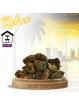 Fleur Ghost Train Small Bud