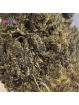 Fleur Cosmic Kush