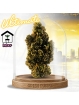 FLEUR AMNESIA US
