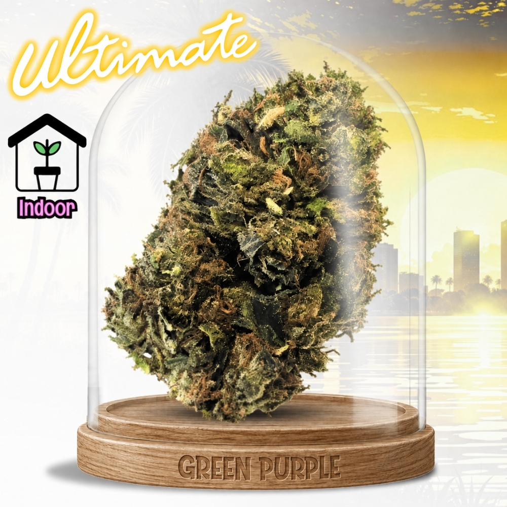 Fleur Green Crack ☄️