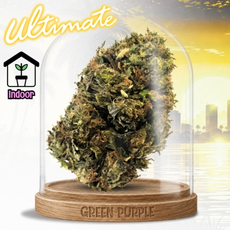Fleur Green Crack ☄️
