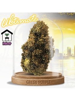 Fleur Sugar Og