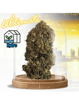 Fleur Cosmic Kush
