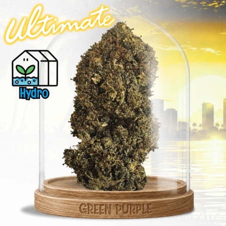 Fleur Cosmic Kush