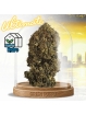 Fleur Cosmic Kush