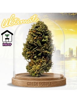 Fleur Chem Dogg 91