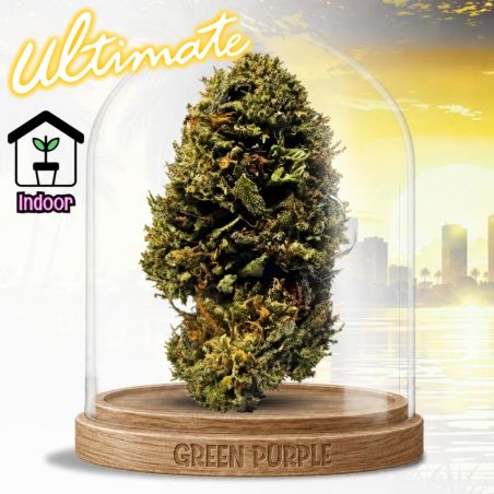 Fleur Chem Dogg 91