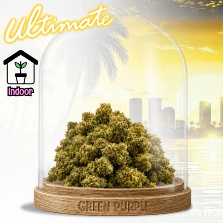 Fleur Juicy Fruit Small Bud