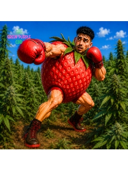 Cartouche Puff Xtrem Vape Tutti Strawberry 🍓 1000MG