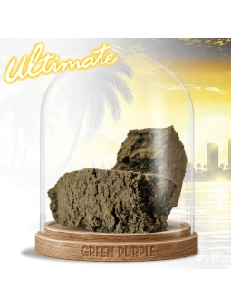 Résine GMO COOKIES 🍪